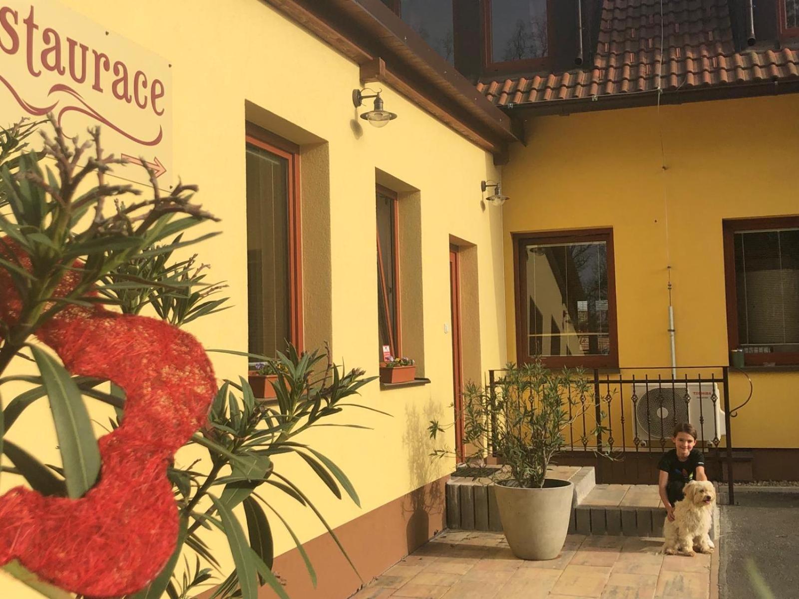 Penzion A Restaurace Zlatovlaska U Zamku Cervena Lhota Jizna エクステリア 写真